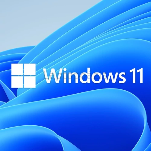 windows 11 Pro OEM